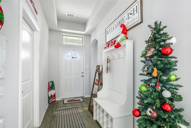 mudroom with a tray ceiling and dark wood-type flooring