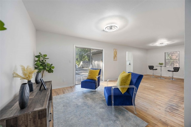 sitting room with hardwood / wood-style floors