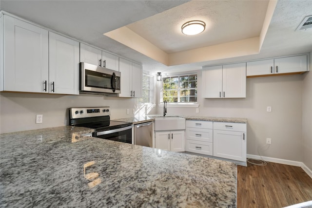 kitchen with a raised ceiling, white cabinetry, sink, and stainless steel appliances