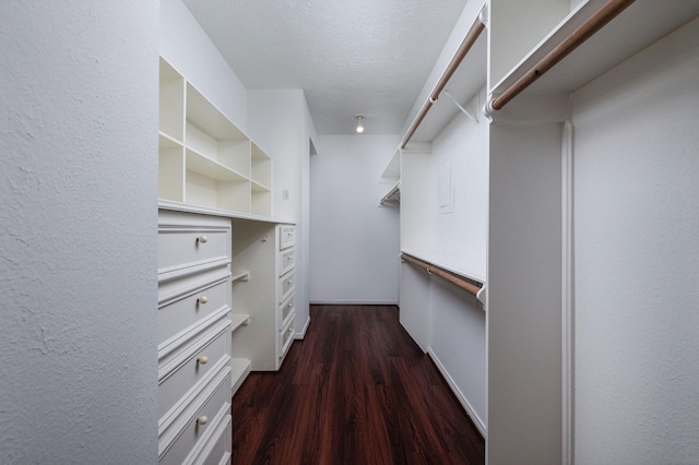 spacious closet with dark hardwood / wood-style floors