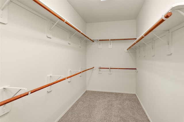 spacious closet with light colored carpet