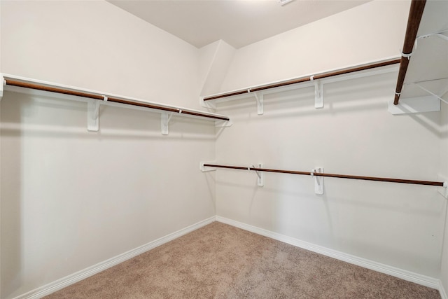 347 Bay Oaks St, La Porte, TX 77571 - spacious closet with carpet floors