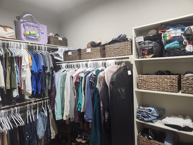 view of spacious closet