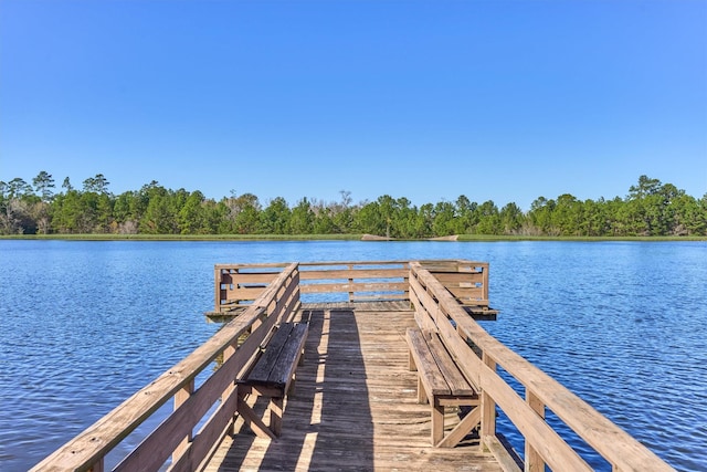 dock area with a water view