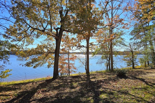 property view of water