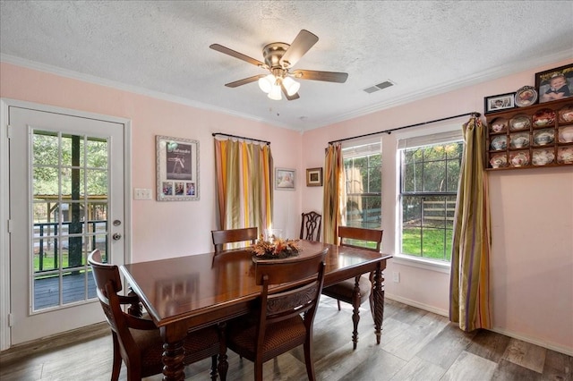 dining room featuring a textured ceiling, light wood-type flooring, ceiling fan, and a healthy amount of sunlight