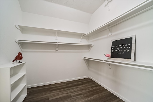 spacious closet featuring dark wood-type flooring