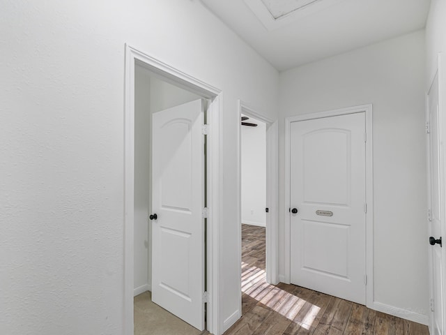 hall featuring hardwood / wood-style flooring