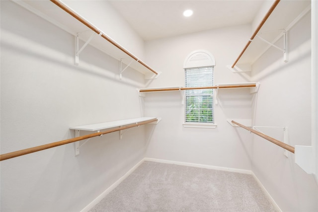 spacious closet with carpet