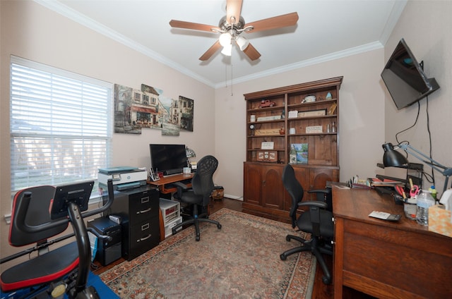 office with ceiling fan, hardwood / wood-style floors, and ornamental molding