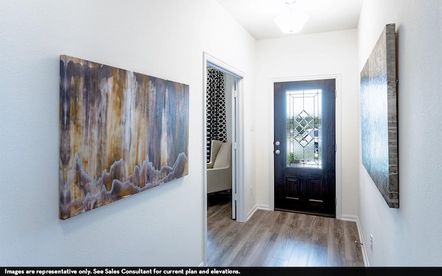 entryway with hardwood / wood-style floors