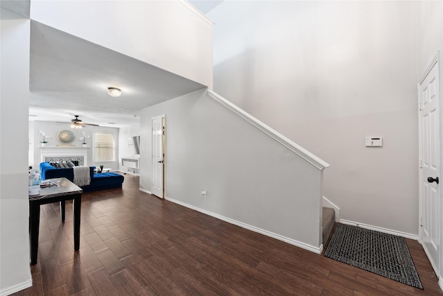 stairs with hardwood / wood-style flooring and ceiling fan