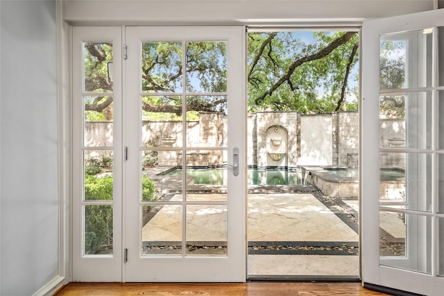 entryway featuring a wealth of natural light and wood-type flooring