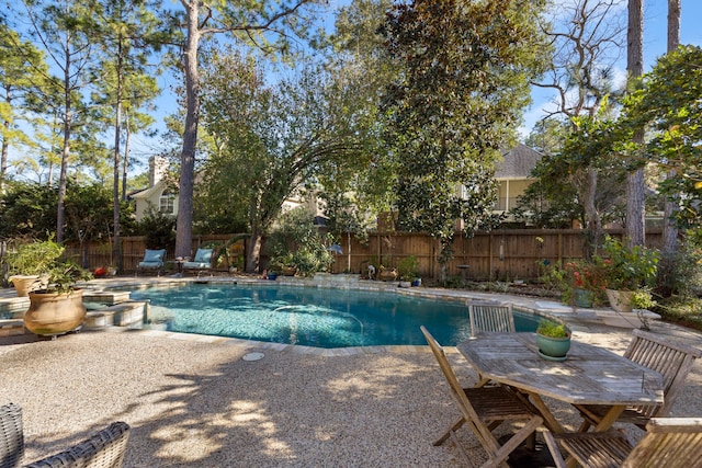 view of pool featuring a patio