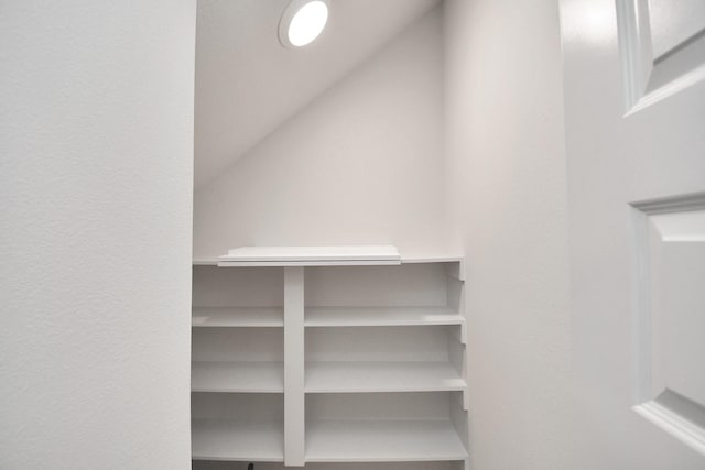 spacious closet with lofted ceiling