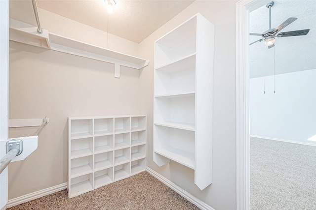 spacious closet featuring carpet floors and ceiling fan