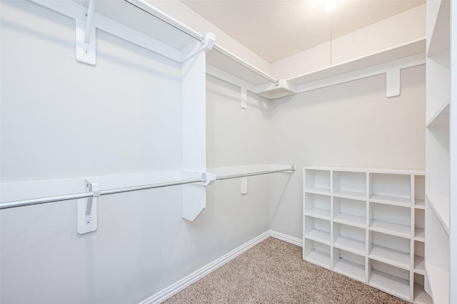 spacious closet featuring carpet