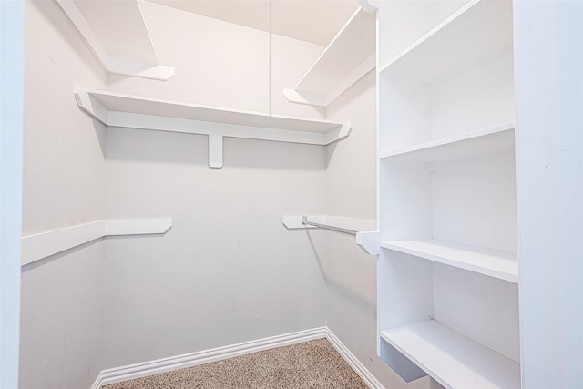 walk in closet with carpet flooring