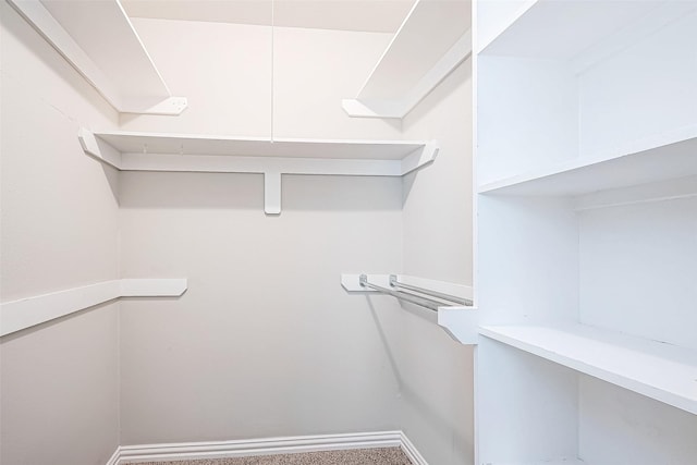 walk in closet featuring carpet floors