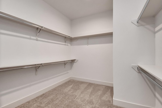 walk in closet with light colored carpet