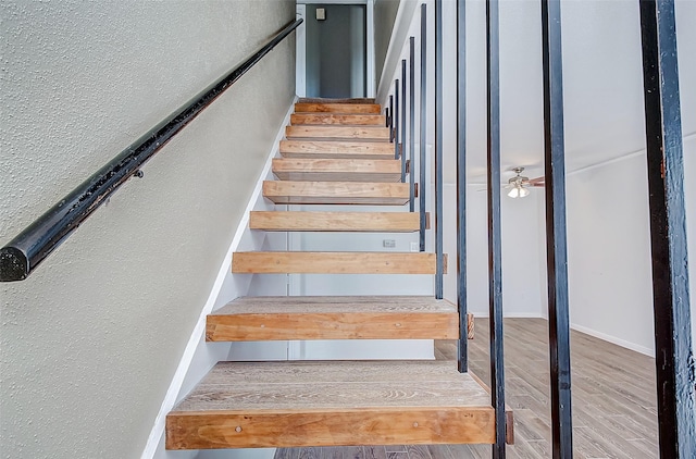 staircase featuring wood-type flooring and ceiling fan