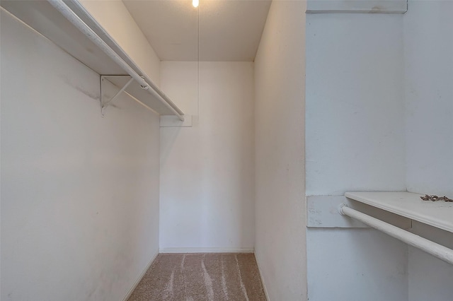 walk in closet with carpet floors