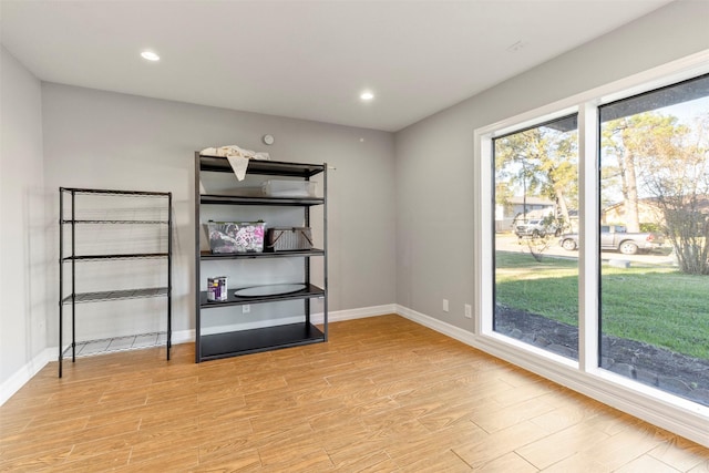 interior space with light wood-type flooring