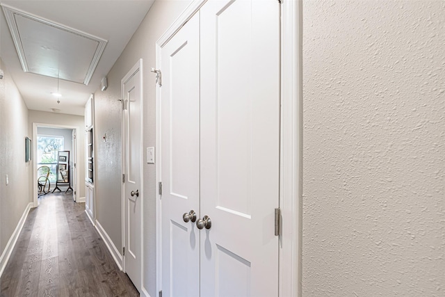 hallway with dark wood-type flooring