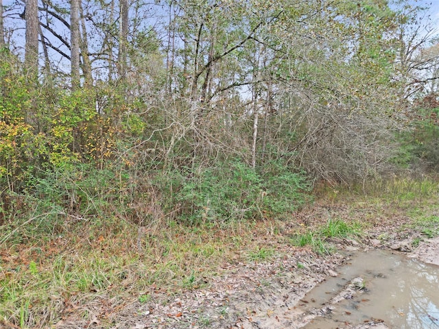 Listing photo 2 for TBD Road 2659, Cleveland TX 77327