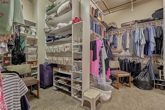 spacious closet featuring carpet