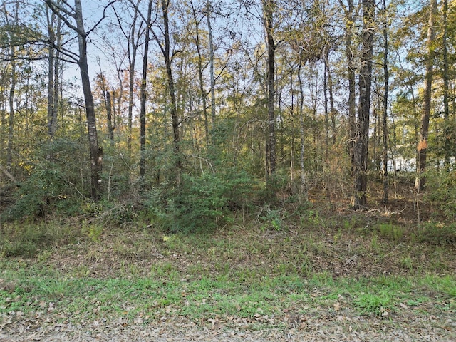 Listing photo 3 for TBD Knottypine, Livingston TX 77351