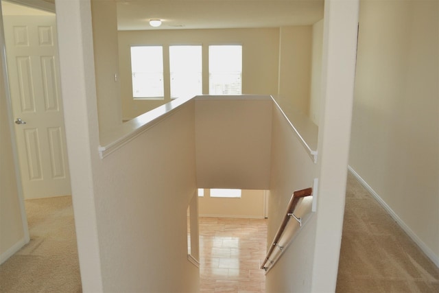 stairs featuring carpet