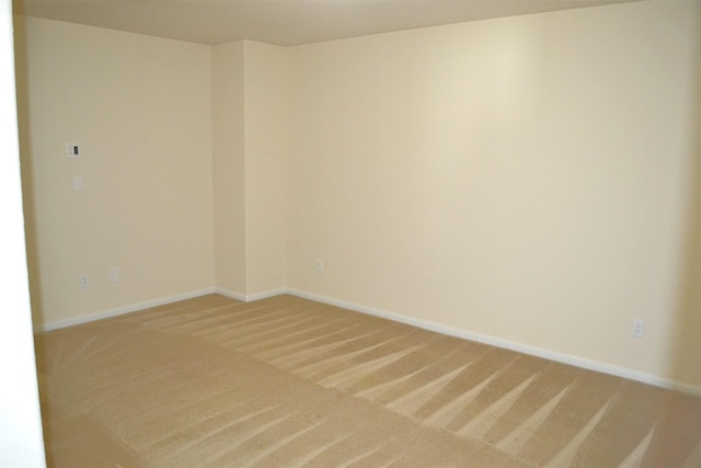 spare room with carpet floors