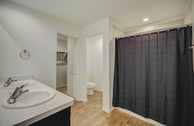 bathroom featuring vanity, toilet, and wood-type flooring