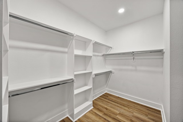 walk in closet with hardwood / wood-style flooring