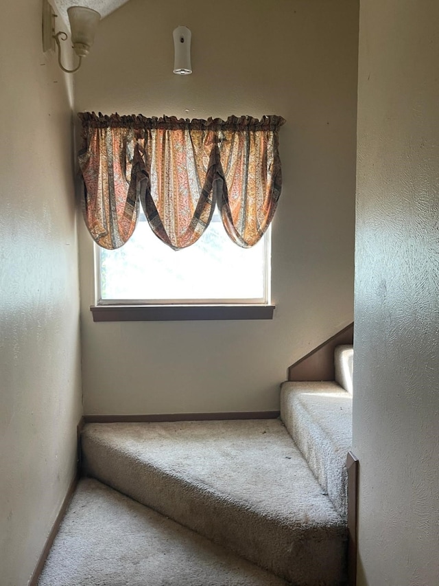 living area featuring carpet