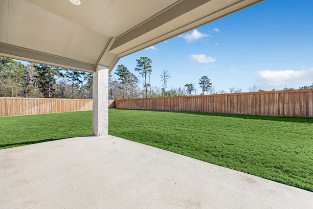 view of yard featuring a patio area