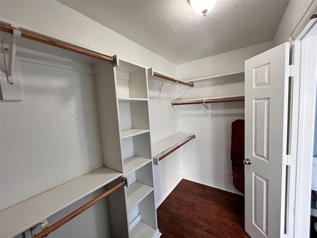 walk in closet featuring dark hardwood / wood-style flooring