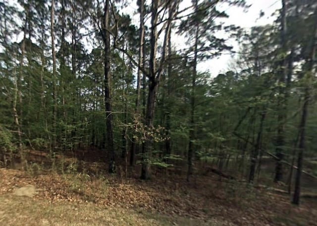 58 S Pine Harbour Dr, Coldspring TX, 77331 land for sale