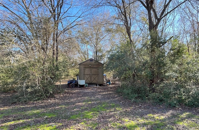 view of yard with a shed