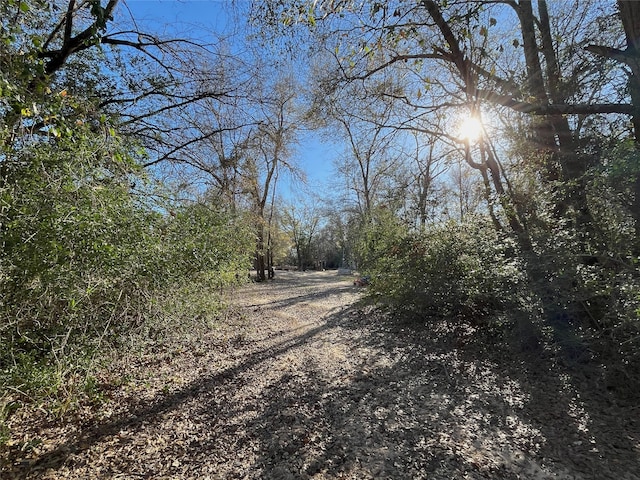 view of road