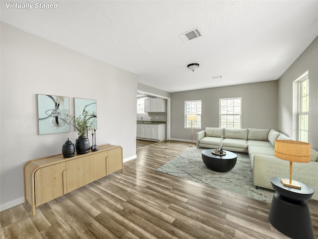 living room featuring hardwood / wood-style flooring