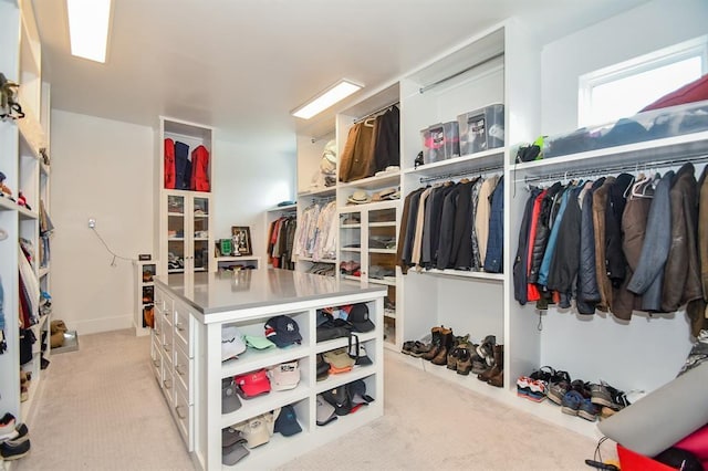 spacious closet with light colored carpet