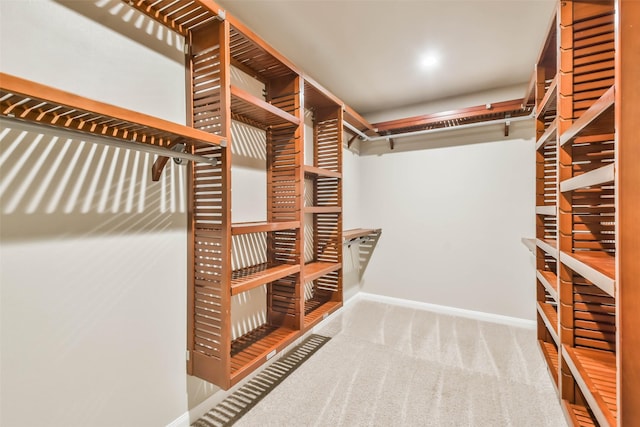 spacious closet featuring carpet flooring