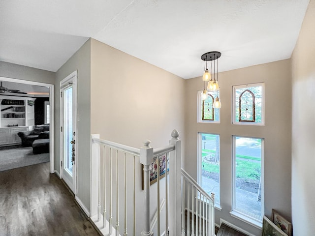 foyer featuring a healthy amount of sunlight and dark wood-type flooring