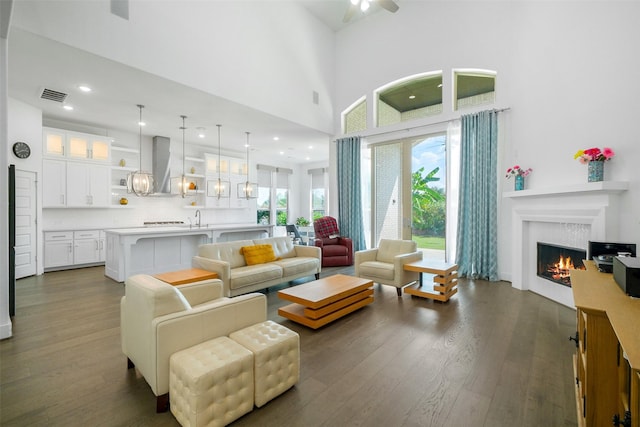 living room featuring a towering ceiling, dark hardwood / wood-style floors, and sink