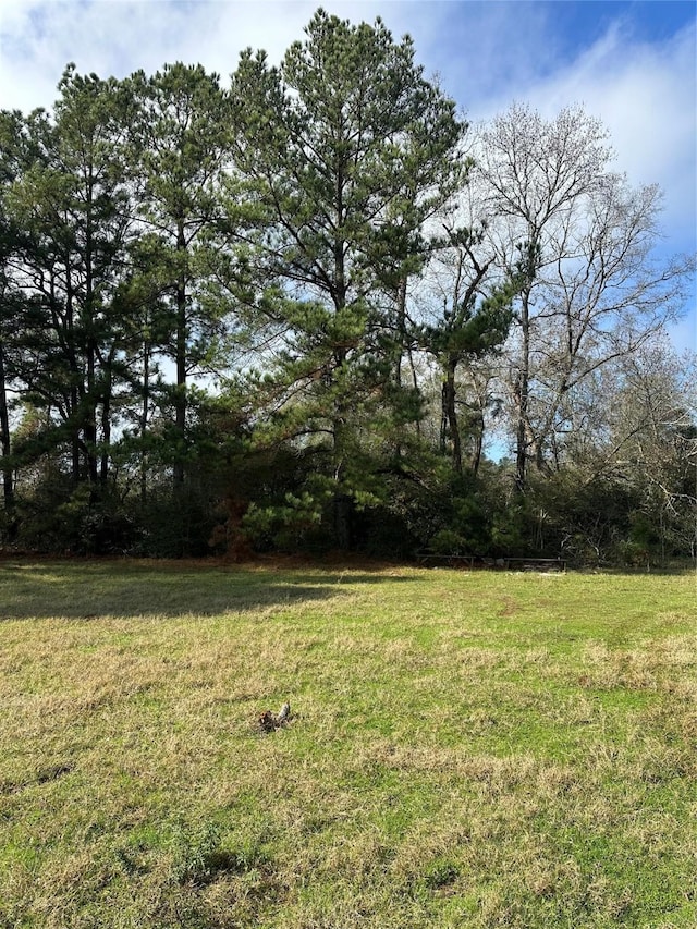 2519 County Road 131, Centerville, TX 75833 - photo 11