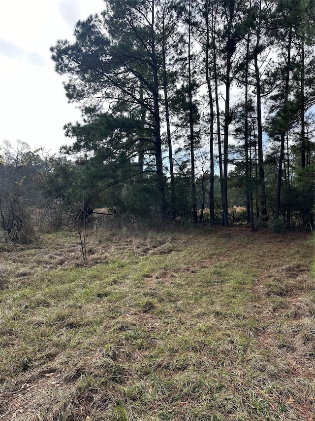 2519 County Road 131, Centerville, TX 75833 - photo 14