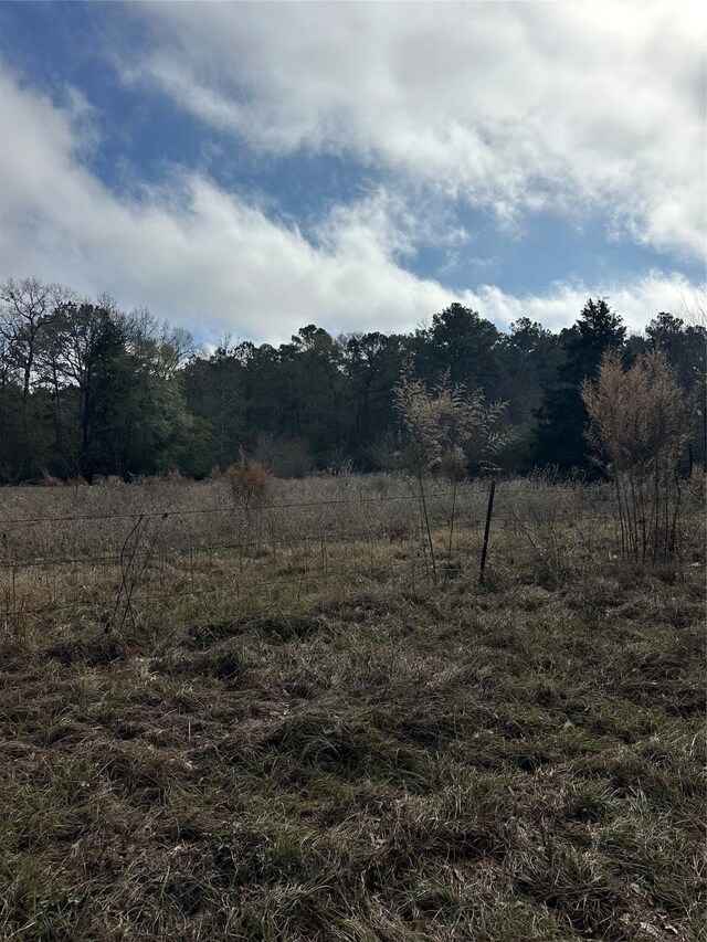 2519 County Road 131, Centerville, TX 75833 - photo 20