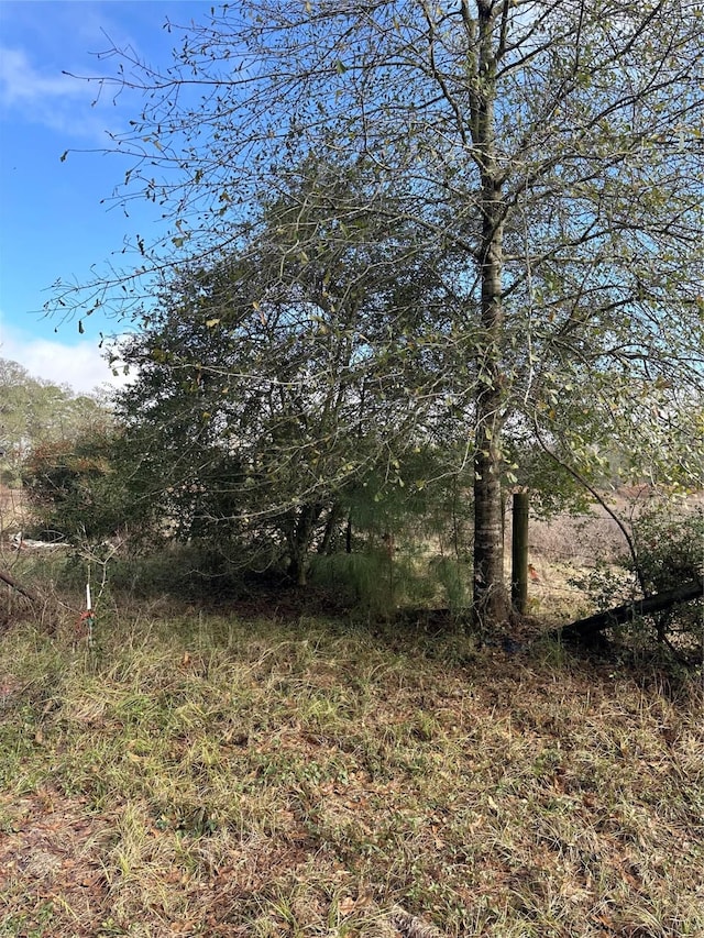 2519 County Road 131, Centerville, TX 75833 - photo 13